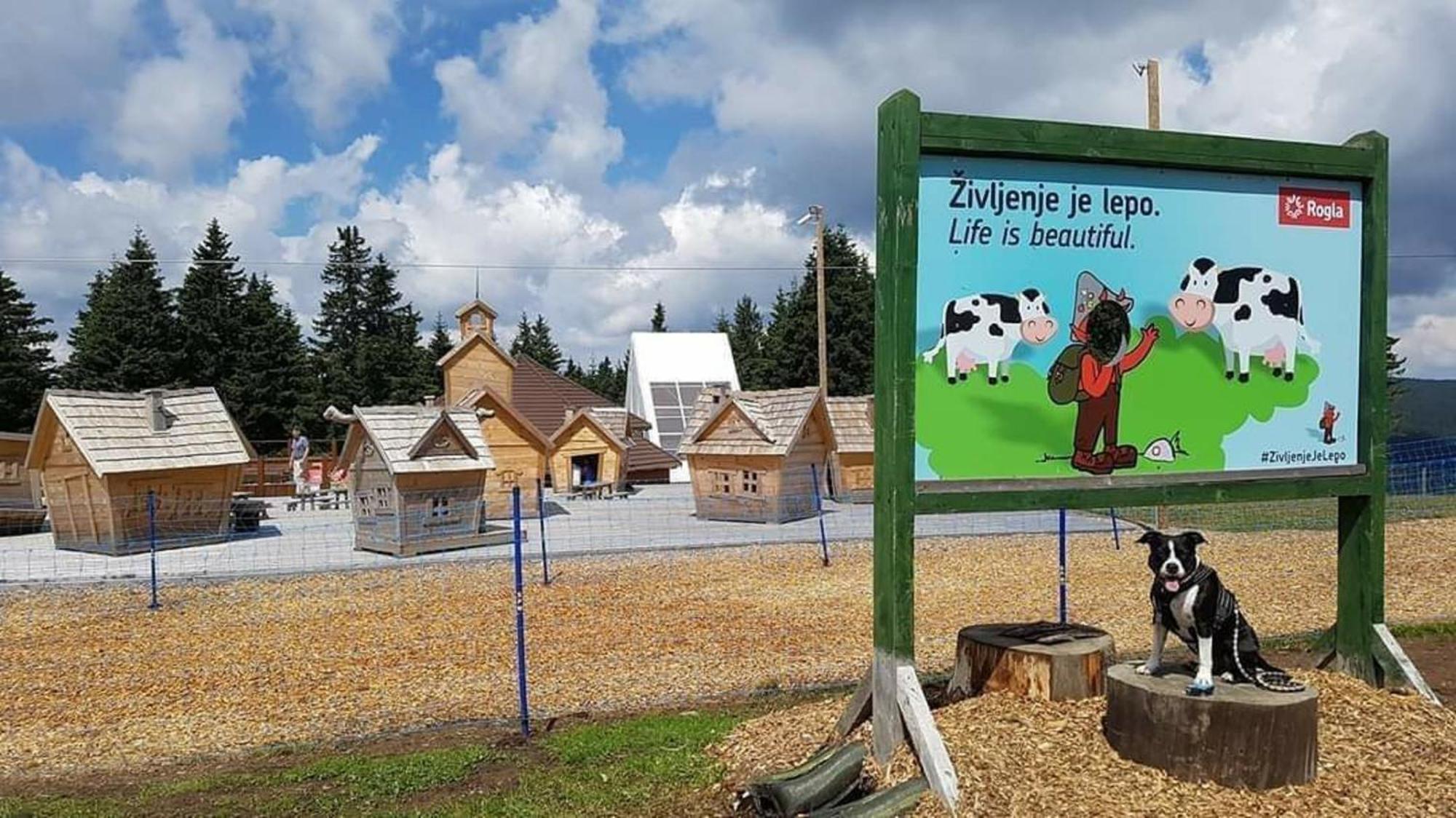 Rogla - Chalet Mojca Pokrajculja 茨热塞 外观 照片