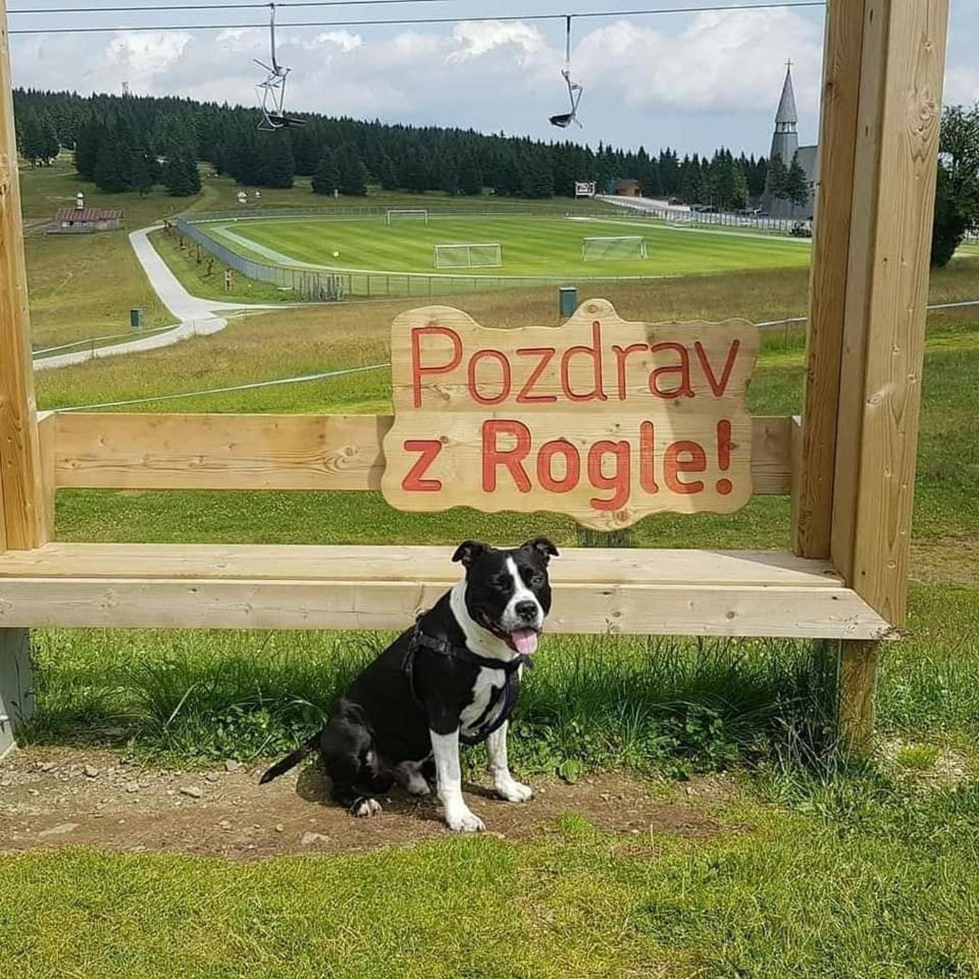 Rogla - Chalet Mojca Pokrajculja 茨热塞 外观 照片