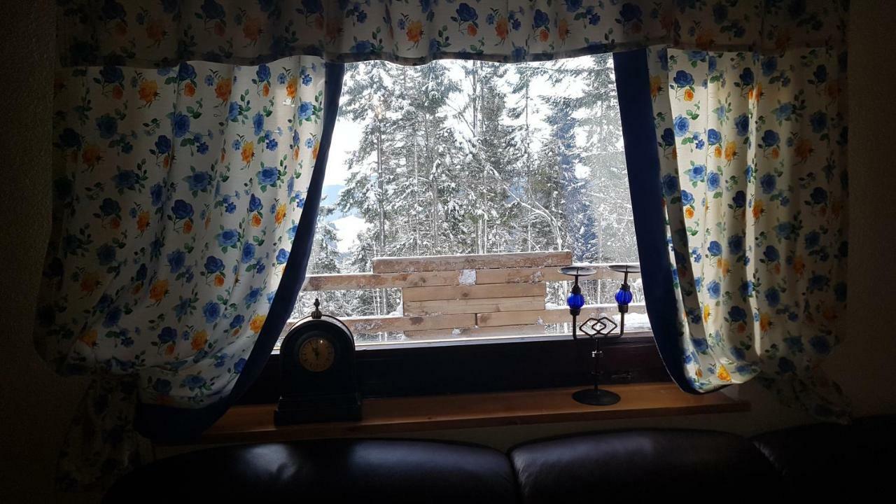 Rogla - Chalet Mojca Pokrajculja 茨热塞 外观 照片