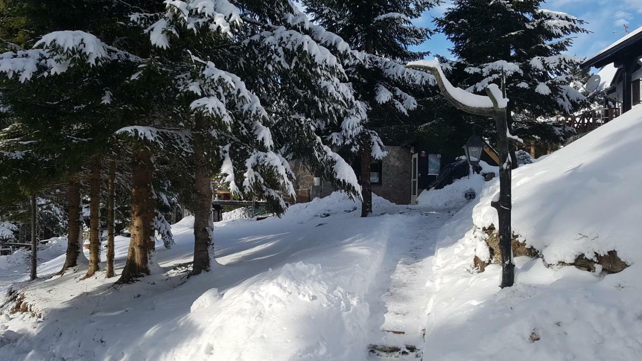 Rogla - Chalet Mojca Pokrajculja 茨热塞 外观 照片