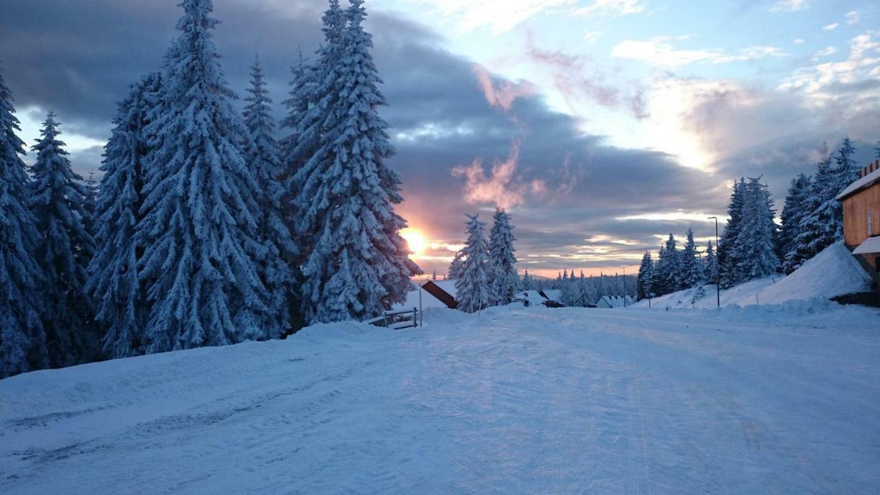 Rogla - Chalet Mojca Pokrajculja 茨热塞 外观 照片