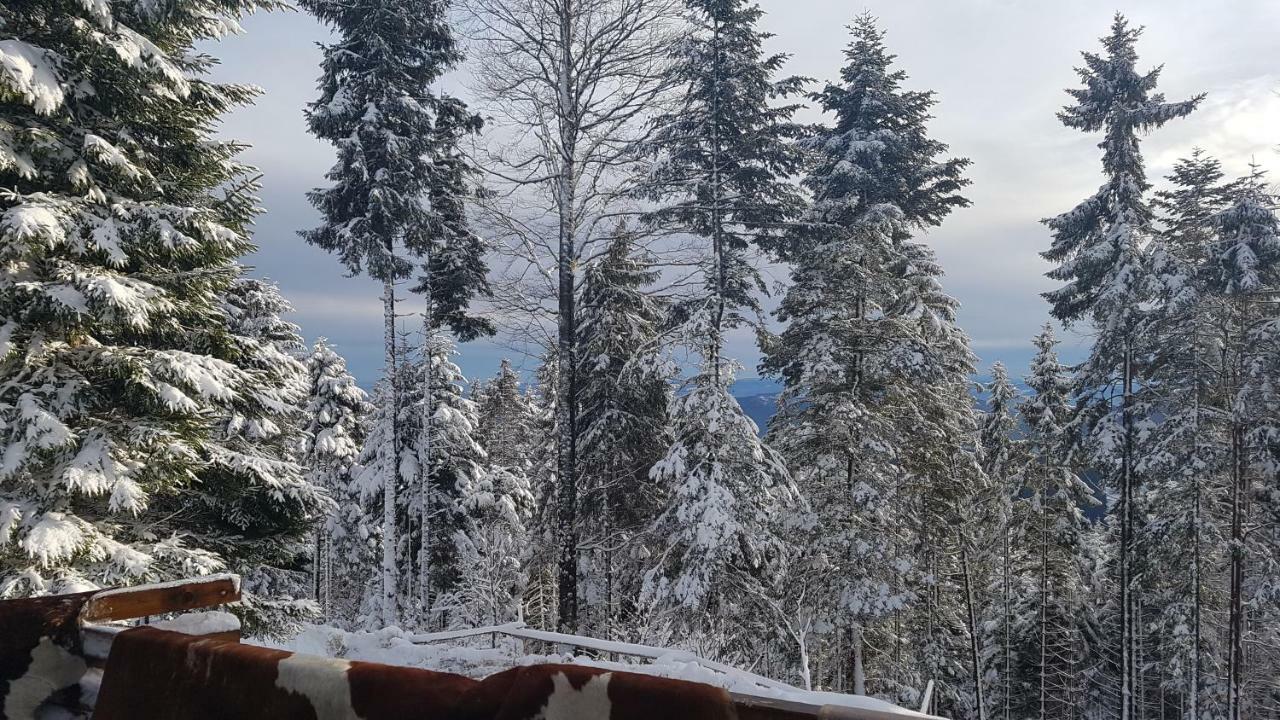 Rogla - Chalet Mojca Pokrajculja 茨热塞 外观 照片