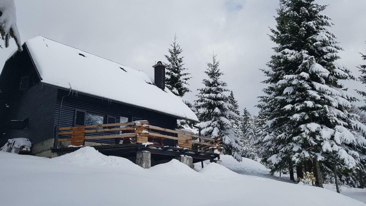 Rogla - Chalet Mojca Pokrajculja 茨热塞 外观 照片